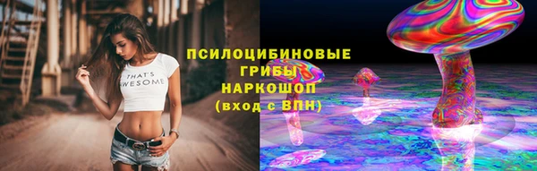 шишки Ельня