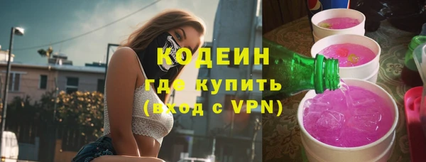 шишки Ельня