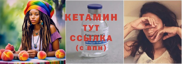 шишки Ельня