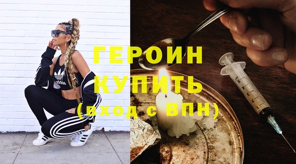 шишки Ельня