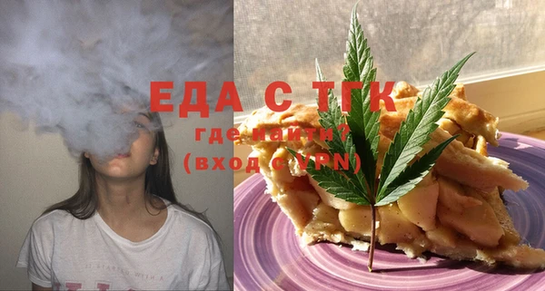 шишки Ельня