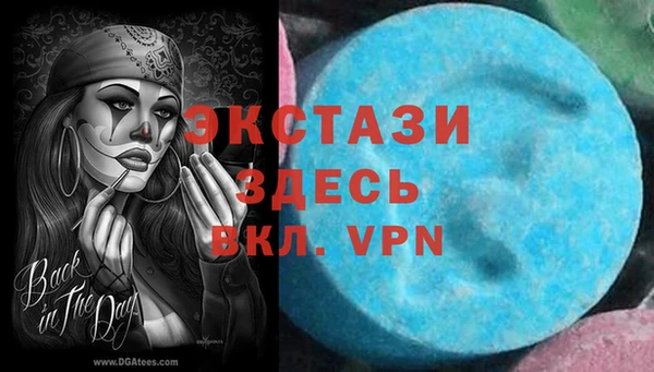 шишки Ельня