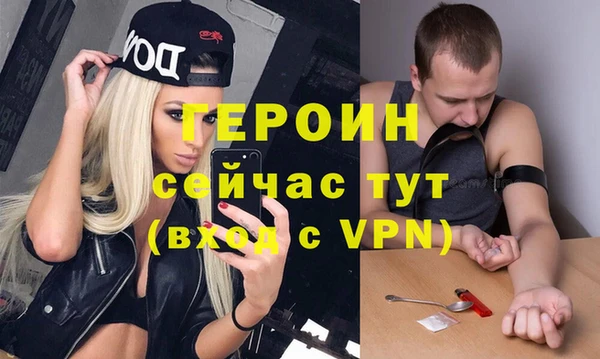 шишки Ельня