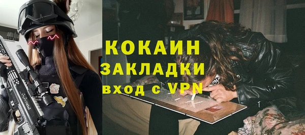 шишки Ельня