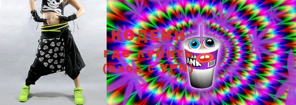 шишки Ельня