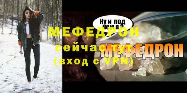 шишки Ельня