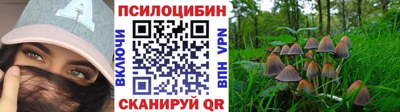 Галлюциногенные грибы мицелий наркошоп KRAKEN рабочий сайт Гай